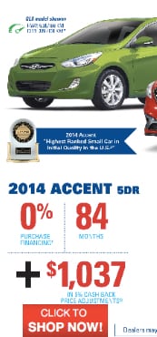 Shop 2014 Accents!